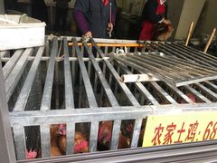 鸡笼-老幺泉水鸡