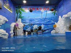 -左海海底世界
