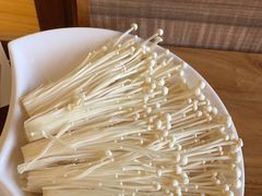 -颐辰舍岁岁羊(文昌万达景园店)