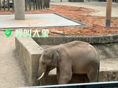 -苏州上方山国家森林公园