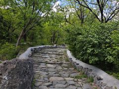 -阳台山自然风景区
