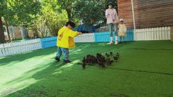 -萌宠亲子动物乐园(槐房万达店)