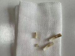 -北京观赏动物医院·24小时大型综合·猫专科·异宠专科