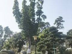-东莞植物园