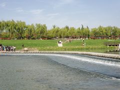 -洨河生态公园