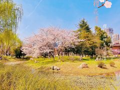 -堤角公园