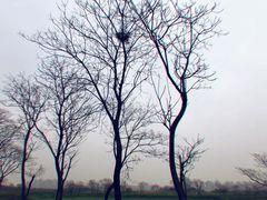 -盘龙城国家考古遗址公园