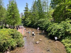 -重庆彩云湖湿地公园
