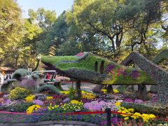 -杭州植物园