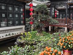 -北园酒家(小北路店)