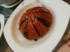 -金鼎明都国际大酒店-餐厅