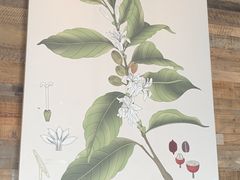-星巴克臻选(武汉经开永旺梦乐城店)