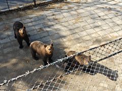 -大连森林动物园