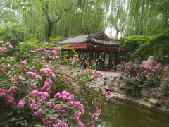 景点-北京动物园