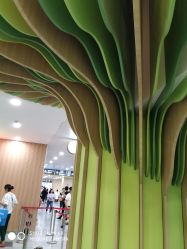 -上海交通大学医学院附属上海儿童医学中心(陆家嘴总院区)