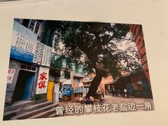 -攀枝花野菜铜火锅(万科凯德店)