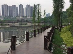 -重庆彩云湖湿地公园