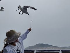 -海驴岛(荣成市)