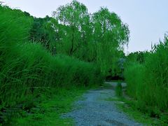 -奥林匹克森林公园南门-停车场
