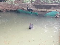 -珍珠泉水上世界