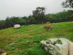 -西安秦岭野生动物园