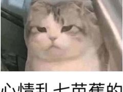 -笑蕾(长春路店)