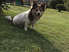 -华唐苑