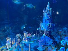 -海合安青岛极地海洋公园