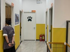 -瑞派·爱瑞可动物医院·口腔专科(广华新城分院)
