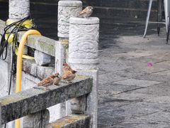 -南诏风情岛