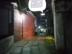 -约翰·菲茨杰拉德·肯尼迪国际机场