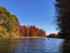 -上海海湾国家森林公园