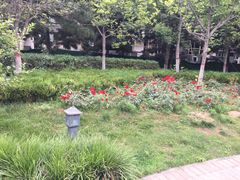 -木塔寺遗址生态公园
