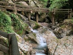 -青城山