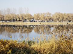 -稻香湖公园