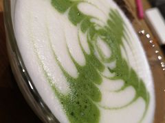 -柴务处·柴犬主题狗咖