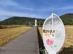 -艾米稻香小镇