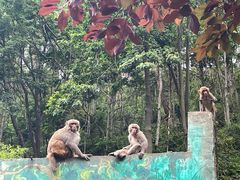 -黔灵山公园