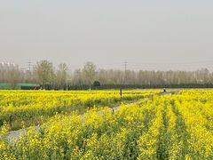 -汉长安城未央宫国家考古遗址公园