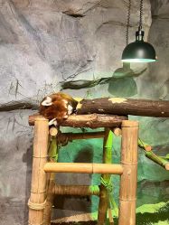 -Zoolung Zoolung动物主题公园(海信广场店)