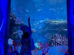 -海合安成都极地海洋公园