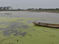 -乡乐园蟹庄·阳澄湖农家乐