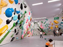 -绿壁虎攀岩基地(Tcar店)