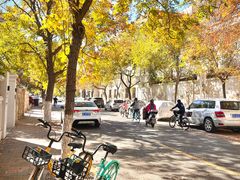 -天津五大道文化旅游区