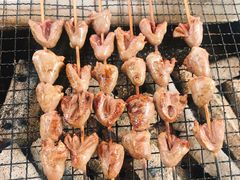 -吴淞炮台湾湿地森林公园烧烤区