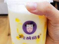百香菠萝酸奶多-一只酸奶牛(八一路店)