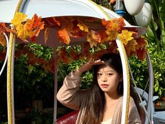 -灵玲国际马戏城