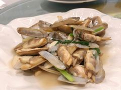 蛏子-海蓝海鲜馆(五四北店)