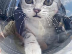 -彭记口口香(太仓万达广场店)