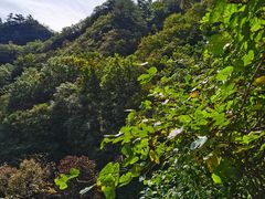 -玉渡山自然风景区